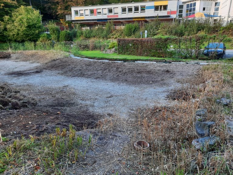 Arbeitseinsatz Aufbereitungsteich  27. September